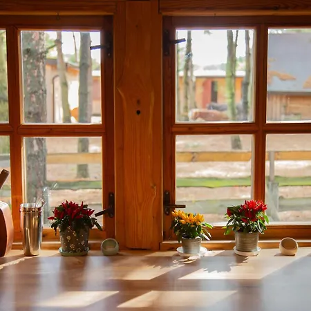 Lavenda Z Widokiem Na Rzekę - Basen, Jacuzzi, Sauna - Magiczny Ogród - 0,5ha Prywatnej Przestrzeni * Zawady (Silesia)