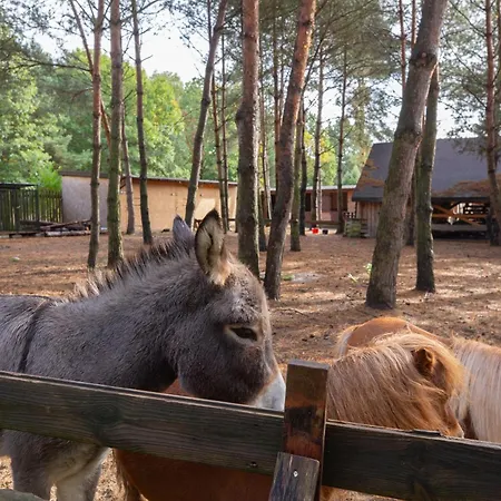 Domek alpejski Lavenda Z Widokiem Na Rzekę - Basen, Jacuzzi, Sauna - Magiczny Ogród - 0,5ha Prywatnej Przestrzeni