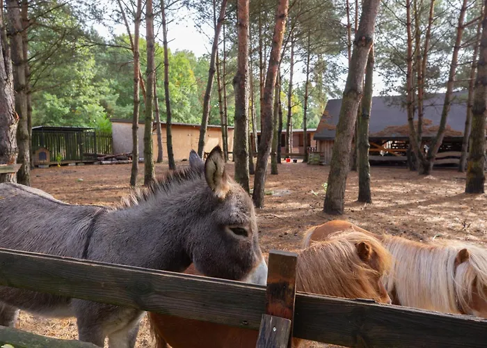 בקתה Lavenda Z Widokiem Na Rzeke - Basen, Jacuzzi, Sauna - Magiczny Ogrod - 0,5ha Prywatnej Przestrzeni